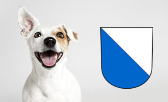 Hund mit Wappen des Kantons Zürich. 