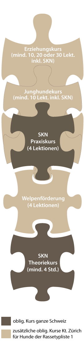 Erklärung obligatorische Hundekurse Kanton Zürich
