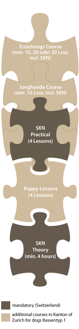 Mandatory dog lessons Kanton Zurich