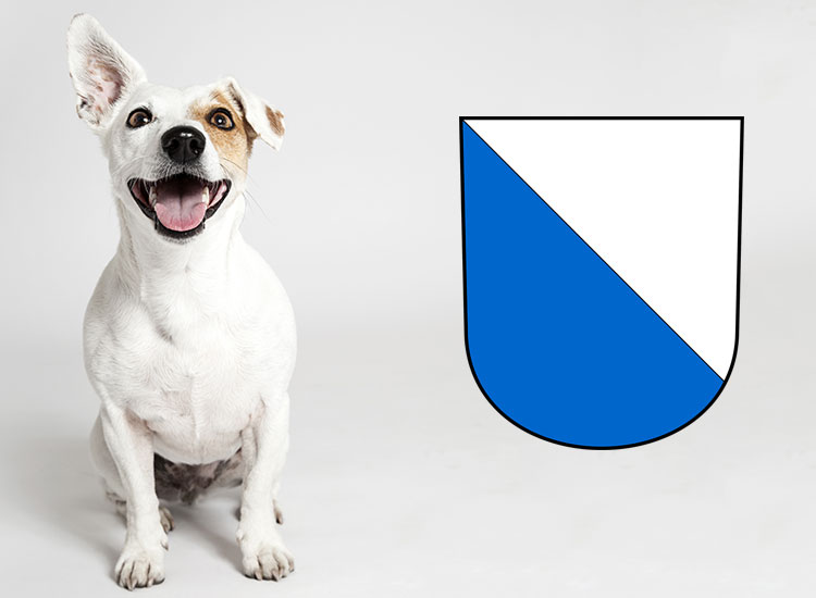 Checkliste Anschaffung Hund Kanton Zürich
